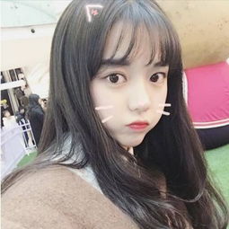 世界杯任意球版