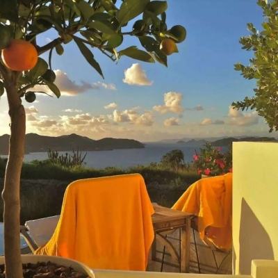 野马赛车挑战赛